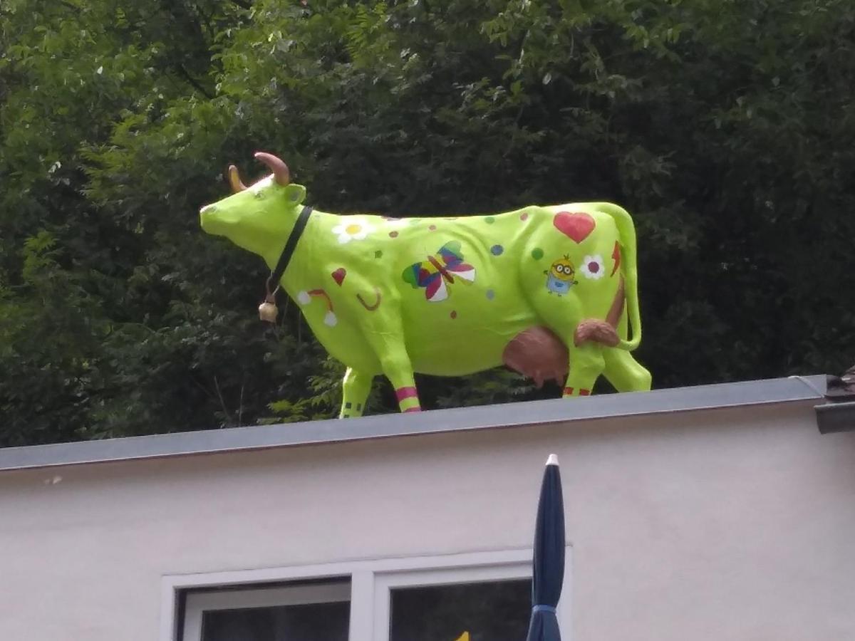 Pension Camping Schausten Cochem Luaran gambar